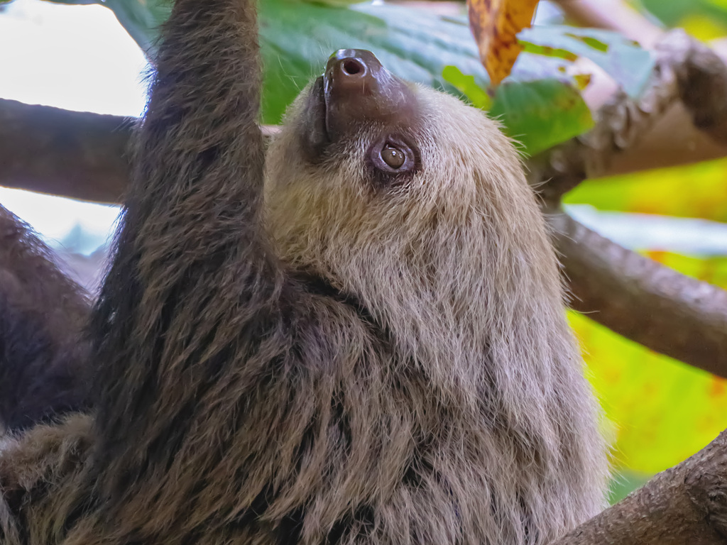 Wild Wonders: Around the World by Private Jet